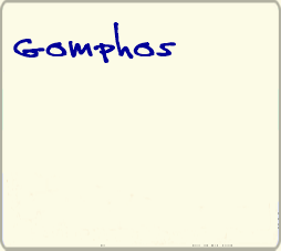 Gomphos