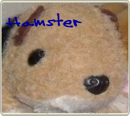 Hamster
